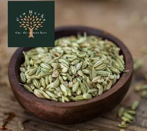 Grocery Saunf (Fennel Seeds) Sombu (100)