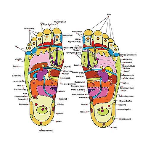 AcuPoints AcuPoints Spring Acupressure and Magnetic Therapy Accu Yoga Paduka/Chappal Slippers for Full Body Blood Circulation Natural Leg Foot Relaxer Massager Slippers for Men and Women (Unisex) (6)