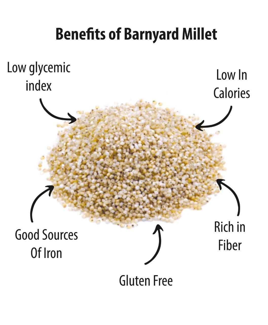 Future Foods Future Foods Premium Barnyard Millet | Jhangora/Sanwa | Gluten Free | Good Source of Protein & Fiber | With More Iron & Zinc Content | Ideal for Celiac & Diabetes Patients | 450g