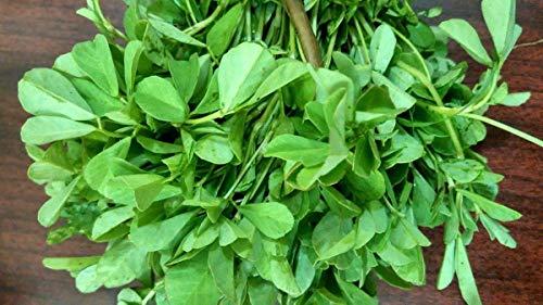 neotea Neotea Dried Fenugreek Leaf, Kasuri Methi Methi Mente Vendayam Trigonella Foenum-Graecum, 100G