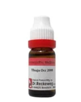 shop homeo shop homeo Thuja Occ.200 Ch German Drops 11Ml [Pack Of 2] || Homeopathy Single Remedy