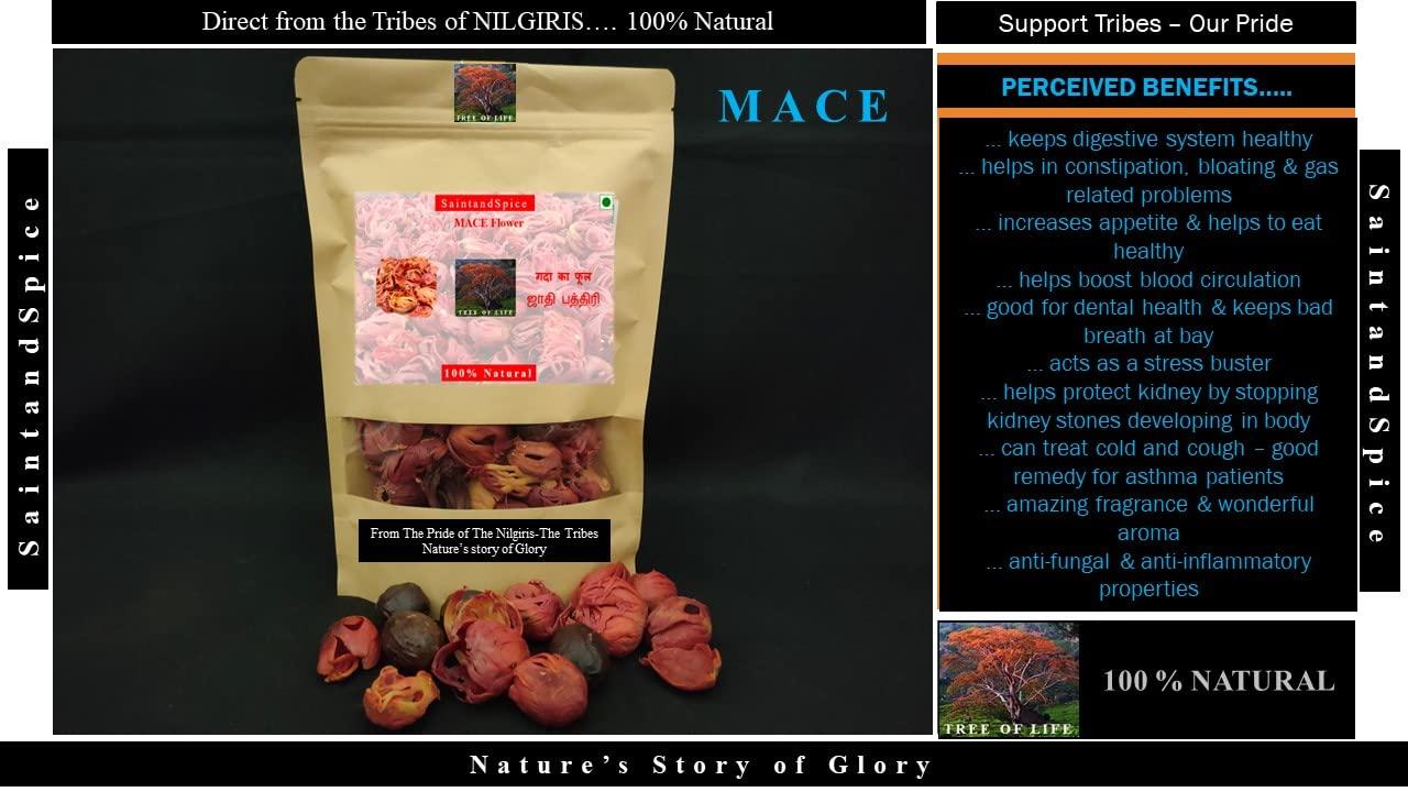 SaintandSpice SaintandSpice Grade Big Size Mace| Kerala Mace | Javitri | Japatri Flower Whole Spices| javitri phool jaifal| Nilgiri Mace - 100 Gram