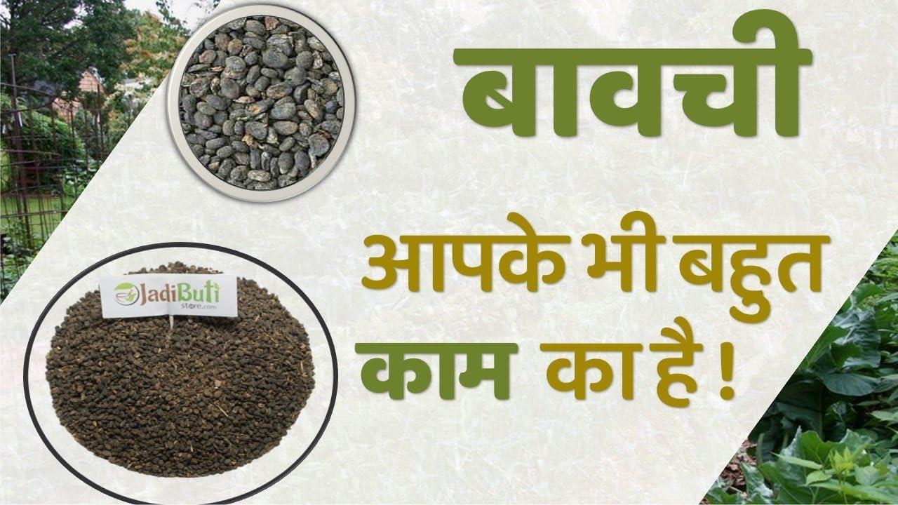 Gunmala Herbals Pure & Natural Bakuchi Powder/Babchi/Bavanchi/Psoralea Corylifolia Powder, 200 Gm. Pouch Pack,Qty.-Pack Of 1