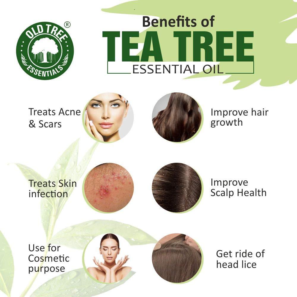 Old Tree Old Tree Pure & Natural Tea Tree Essential Oil (15ml) - for Skin, Diffusers, Hair, Body, Acne, Nail care - Undiluted Essential Oil with Dropper for Aroma Therapy and Stress Relief