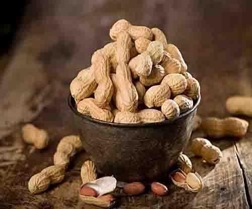 ZIRA ZIRA 02 Kg Natural Rural Producer Groundnut With Shell, Raw Peanut/Fresh Peanut- (Nuts 500 Grams, Packet of 04)