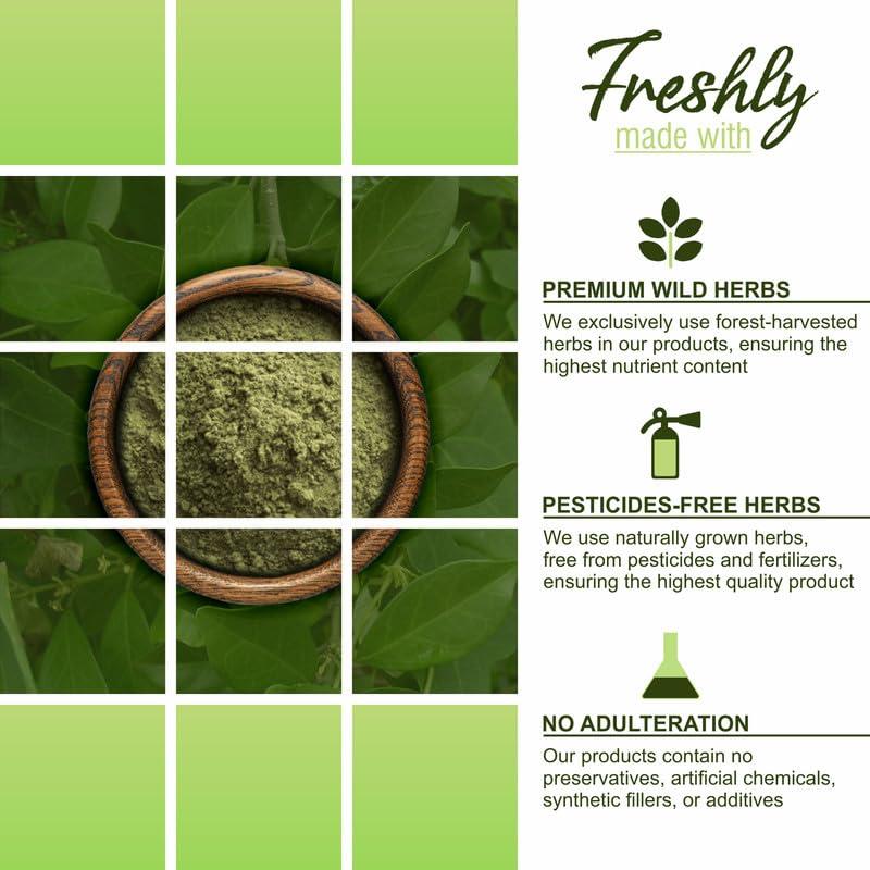 HerbalSpirit Herbal Spirit Gudmar Powder | Gurmar Powder | Sirukurinjan Powder | Shardunika Herb Powder | Shardunika Powder Organic | Madhunashini | Madhunashni | Madhushani Powder | Gymnema Sylvestre |250 Gram