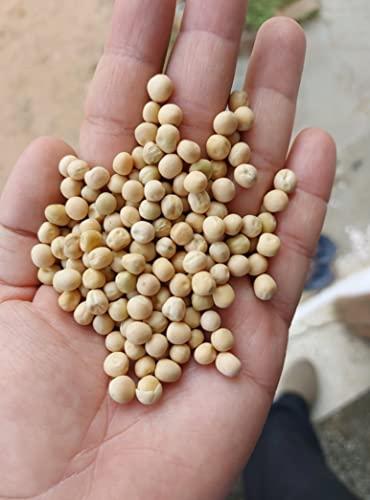 Dalthamman Dalthamman White Peas/Safed Matar/Kulcha Matara 490 Gm