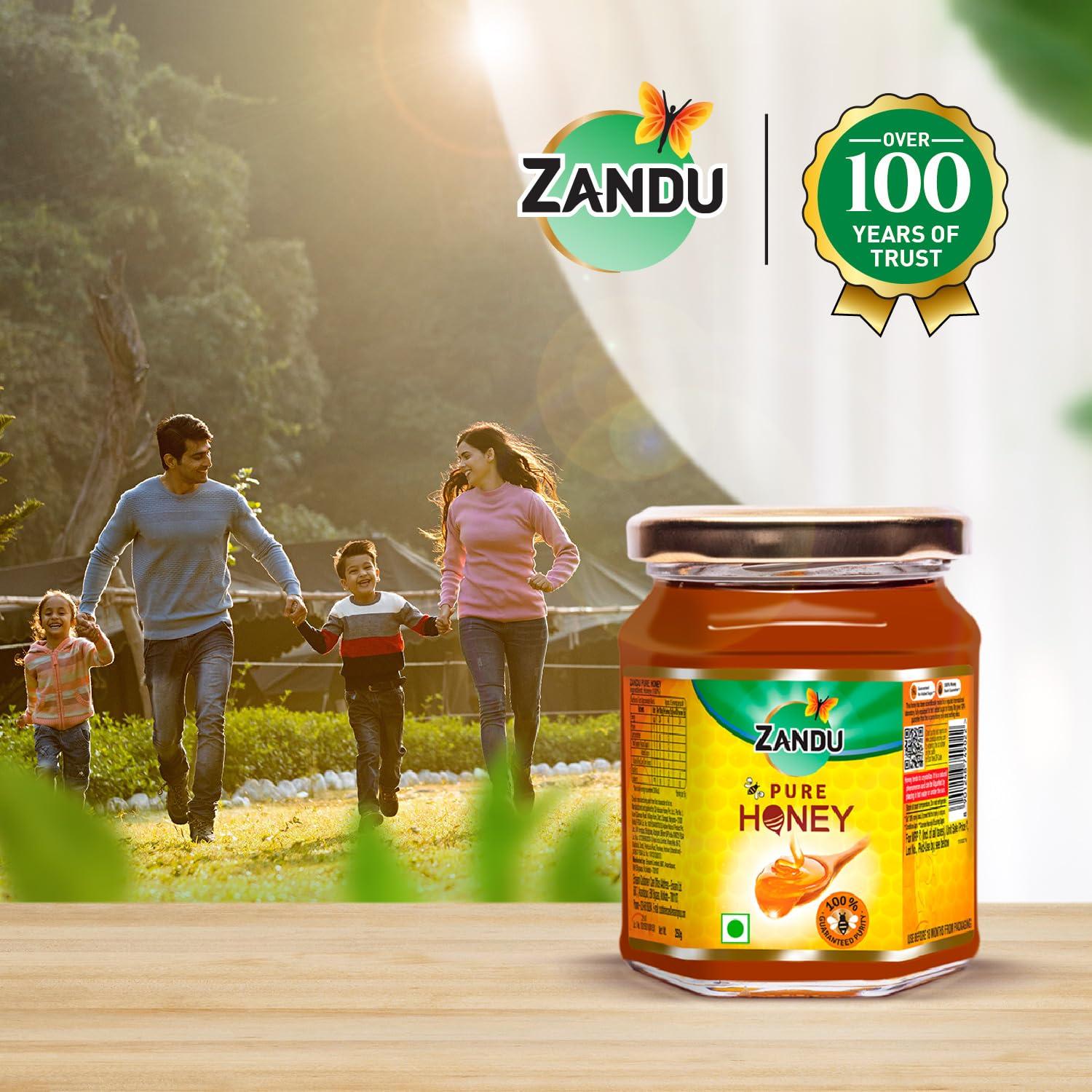 Zandu Zandu Pure Honey with Cinnamon, Green Tea & Lemon, 100% Purity, No Added Sugar, 250g