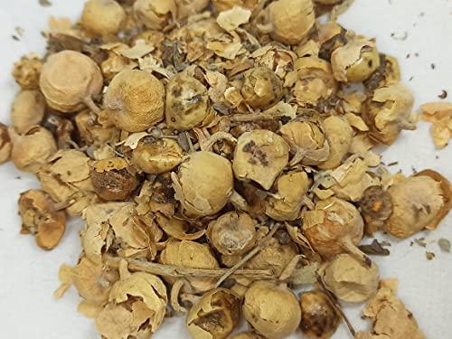 NATURALIFE NATURALIFE\'S-*PANNIR POO*-Indian Rennet Flower Dried I Withania coagulans Dunal I Paneer Poo/ I Paneer Phool/Paneer Doda I Panneru-gadda (250 GRAMS)