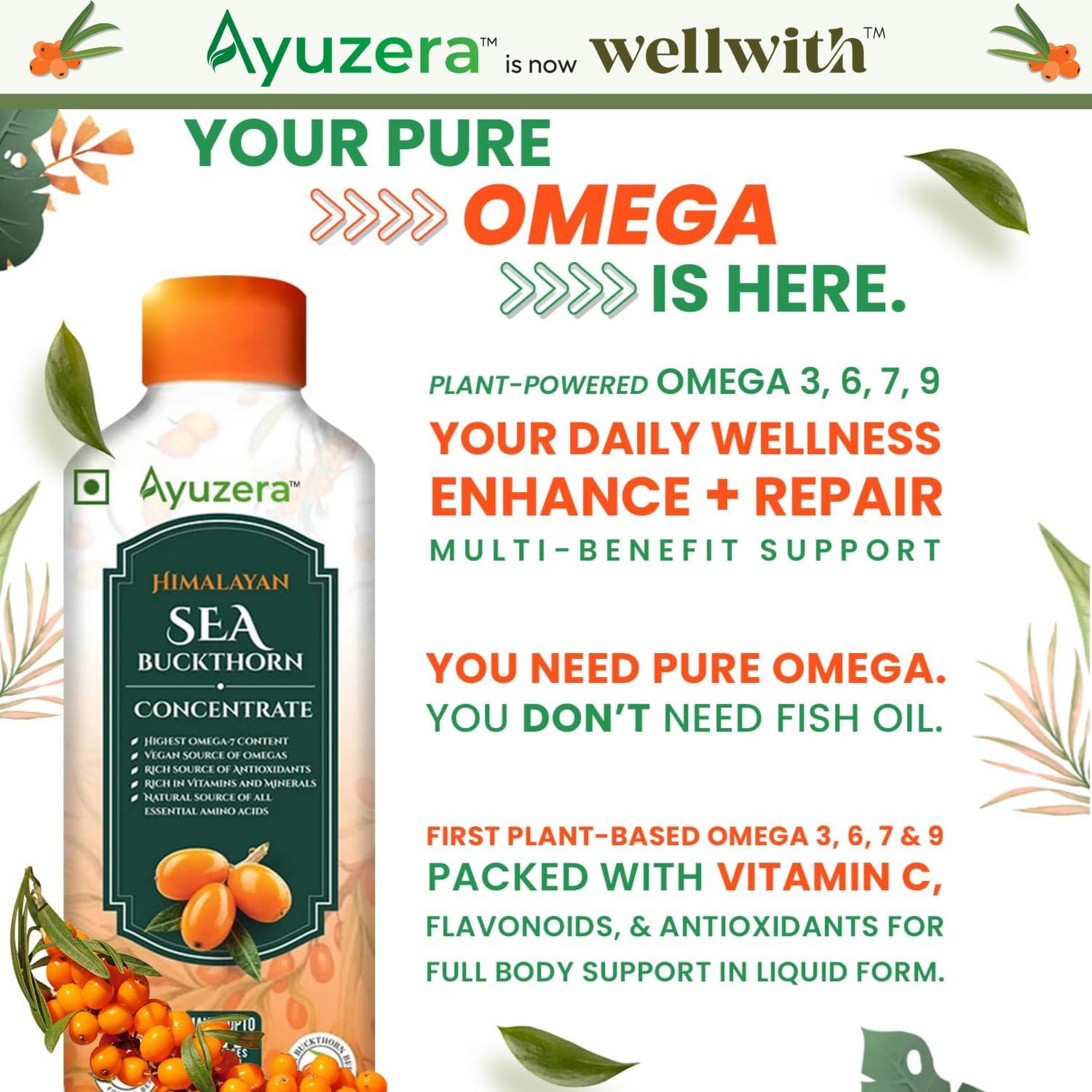 Ayuzera Ayuzera Himalayan Sea Buckthorn Pulp 300ml | Plant Based Vegan Omega 3, 6, 7 and 9 | Vegetarian Liquid Supplements | No Fish Oil | Veg, Natural & Organic | Makes up to 50 Glass Juice | Rich in Omega 7, Antioxidants, Vitamins (300ml, Pack Of 1)