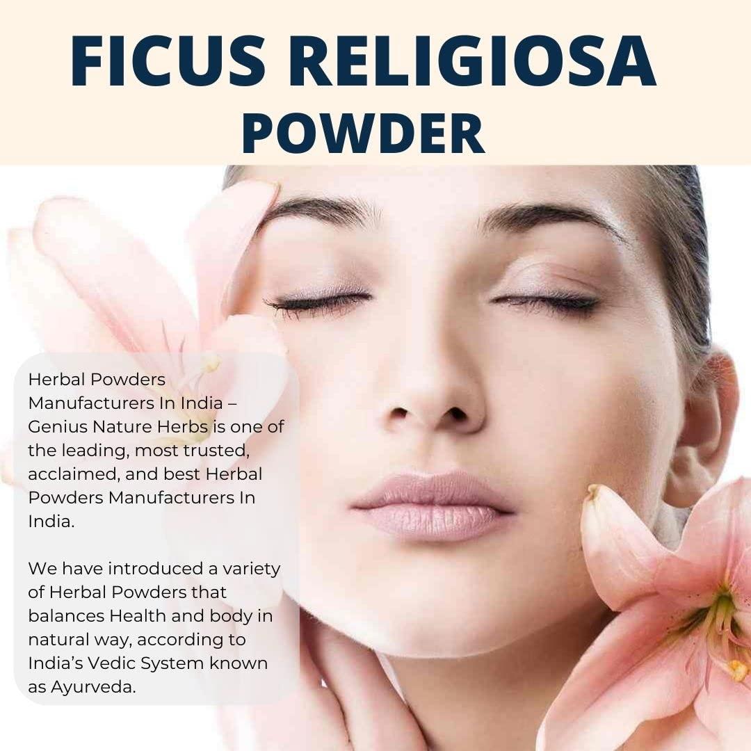 Genius Herbs Genius Herbs Ficus Religiosa leaf Powder | Peepal Leaves |Arasa Ilai Powder | 200 g Pack of 1