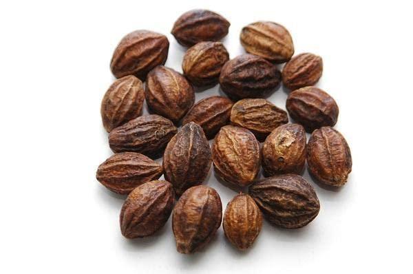 GHST GHST Organic Kadukkai/Ink Nut, Chebulie Dried (Raw) - 200 Grams