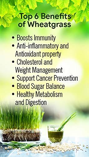 HERBAL HILLS Herbal Hills Wheatgrass Powder (1000 Gram Pack of 1)