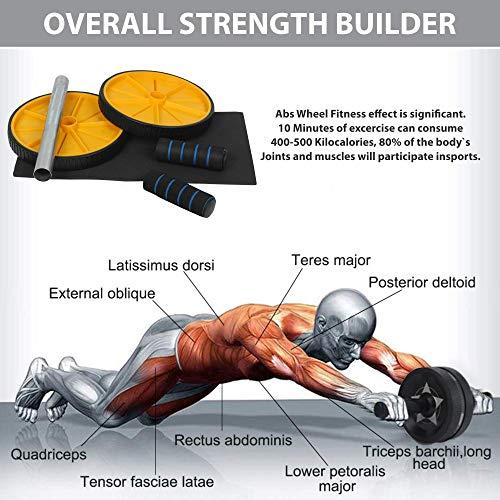 Virtual World VIRTUAL WORLD Double Ab Wheel Roller Pro Abdominal and Resistance Loop Bands for Men and Women color as per stock