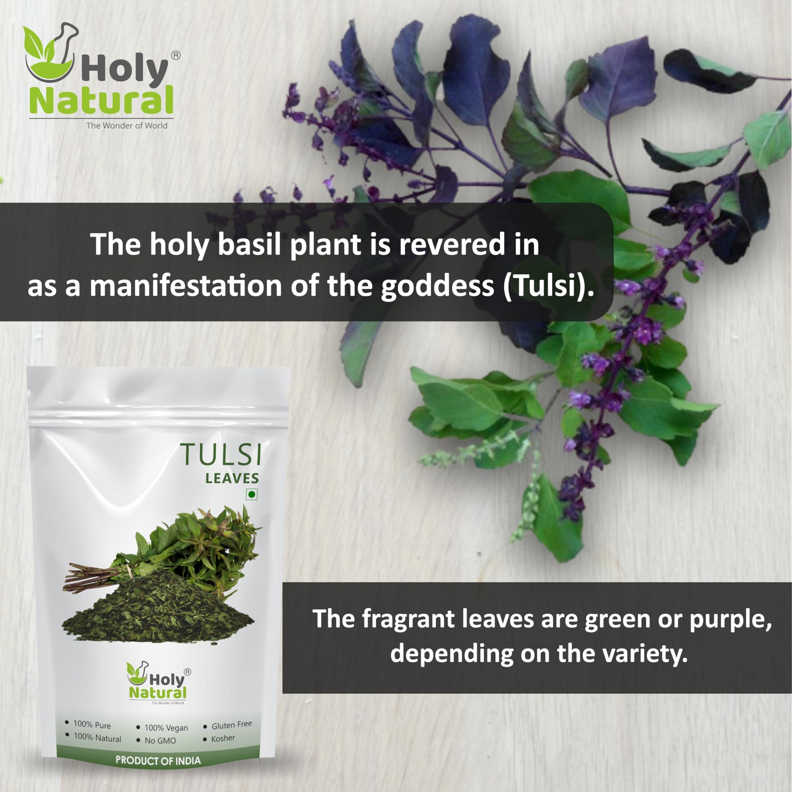 Holy Natural - The Wonder of World Holy Natural Tulsi Leaves 200 Gm | Queen of Herbs | Dried Tulsi Leaves, Dried Tulsi Buds | Tulsi leaves also called Holy Basil (Ocimum tenuiflorum), tulasi, and Indian Basil