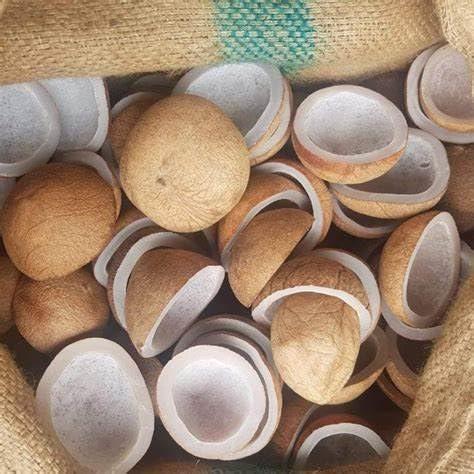 HUNGRY BEAST Spice-M, Dried Coconut Balls | Tiptur Copra | Giri Gola | Gota Nariyal | Endu Kobbari | Dried Copra | kurudu - 100 Grams