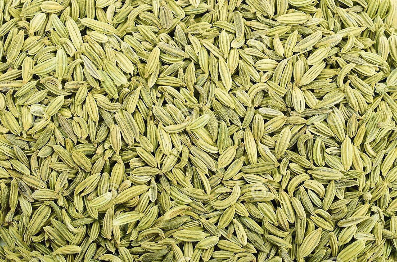Parityaag Parityaag Natural Saunf Whole Fennel Seeds Big Size Sounf (100gm)