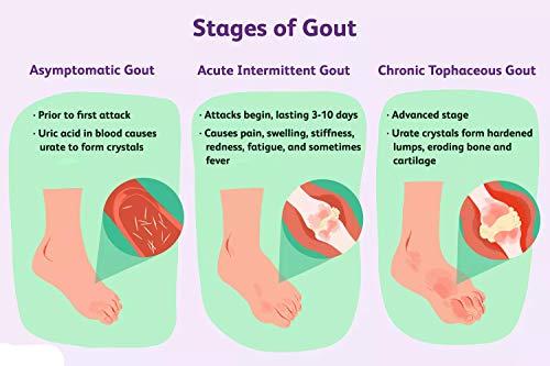 HERBAL HILLS Herbal Hills Gautyhills Tablets (60 Tablets (Pack of 2))