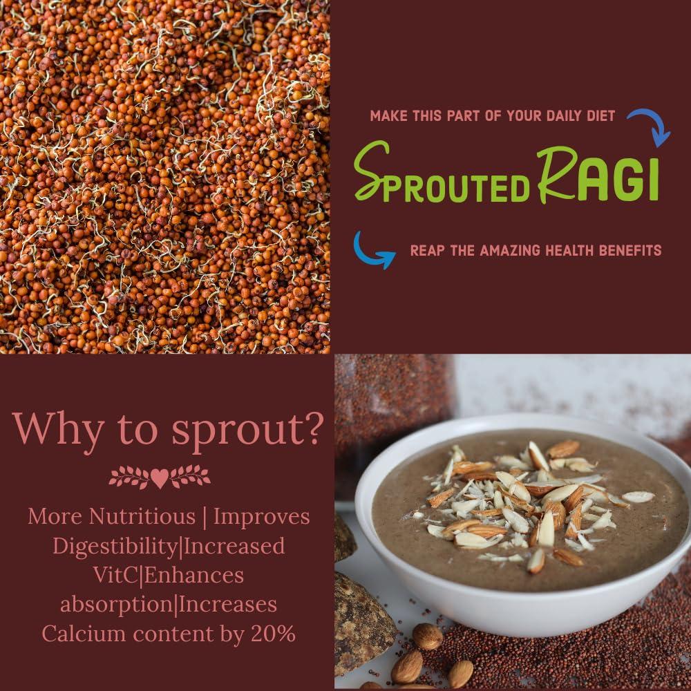 MILLERA Millera Sprouted Ragi Powder - Pack of 2 | 400g (200g x 2) | 100% Natural Sprouted Ragi Flour/Nachni Flour/Ragi Satva/Kodra/Taidalu/Kezhvaragu/Finger Millet Flour (Pack of 2)