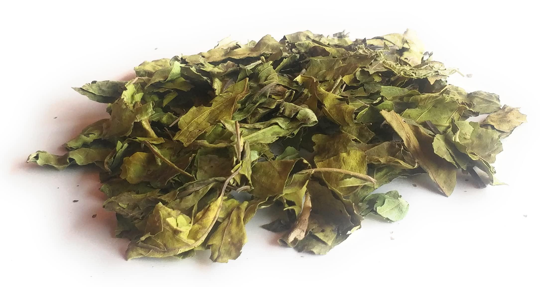 Ayushiv Ayushiv ADULSA LEAF (Justicia adhatoda) - Adusa - Adulsa- MALABAR NUT- VASA -ADHATODA VASICA - BANSA GREEN (200 GM)