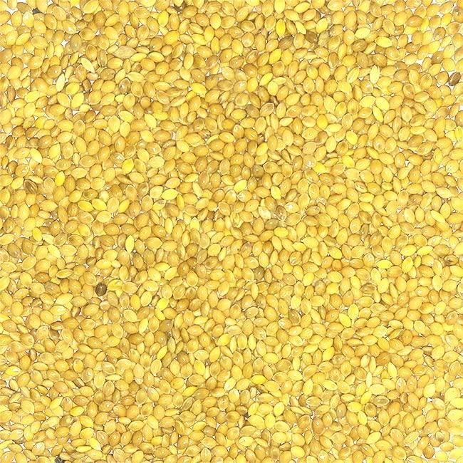 Urantex Urantex? Kangni Seed Finger Millet Proso Millet Pearl Millet Millet Beej 100g