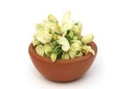 SAARA SAARA Murungai Poo Powder, Drumstick Flower Powder, Helps to increase Appettite, 50g