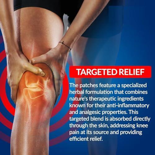 FI FIDROXIMPERIA PAIN RELIEF KNEE 20 PATCHES Herbal Knee Plaster Sticker Pain Relief and Inflammation Patches Joint Knee Relief Patches Kit Natural Wormwood Extract Sticker Knee Pain Relief Patches (Pack Of 20)
