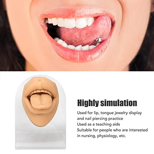 LIANAI Soft Silicone Tongue Model, Mouth Open, Fake Tounge, Flexible Human Tongue Mouth Mold with Teeth, Body Parts for Practicing Piercing Acupuncture Jewelry Display, Simulation Tongue(Skin Color)