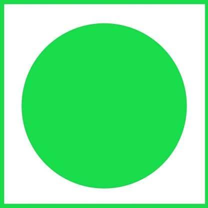 ENGLISH NUTS-THE DRY FRUITS HOUSE ENGLISH NUTS ORGANIC EXTRA LIGHT BROWN HALVES WALNUT KERNLES AKHROT GIRI 500 GRAMS