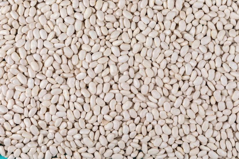 Veganic Veganic White Kidney Beans | Small Rajma | Cannellini bean | Safed Rajmaa (400g)