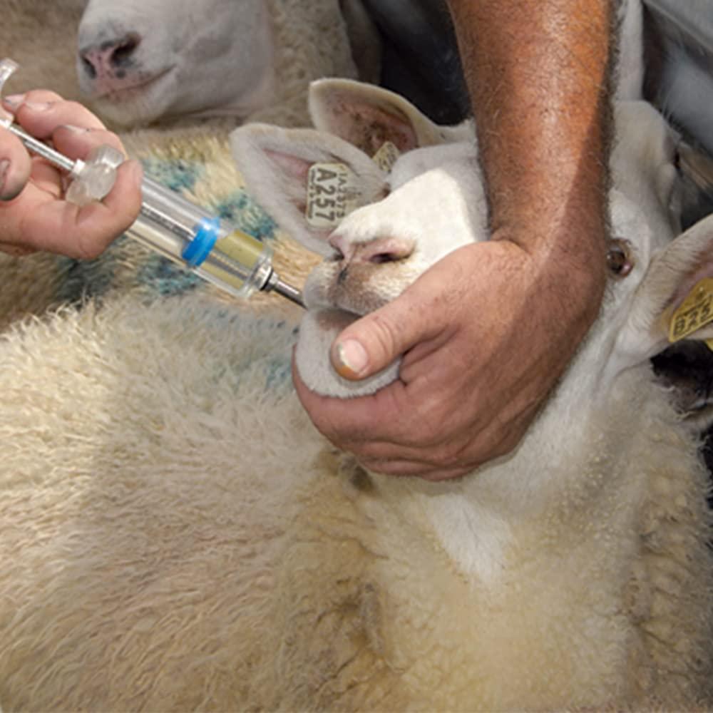 Generic Oral Drencher for Goat and Sheep -50 ML