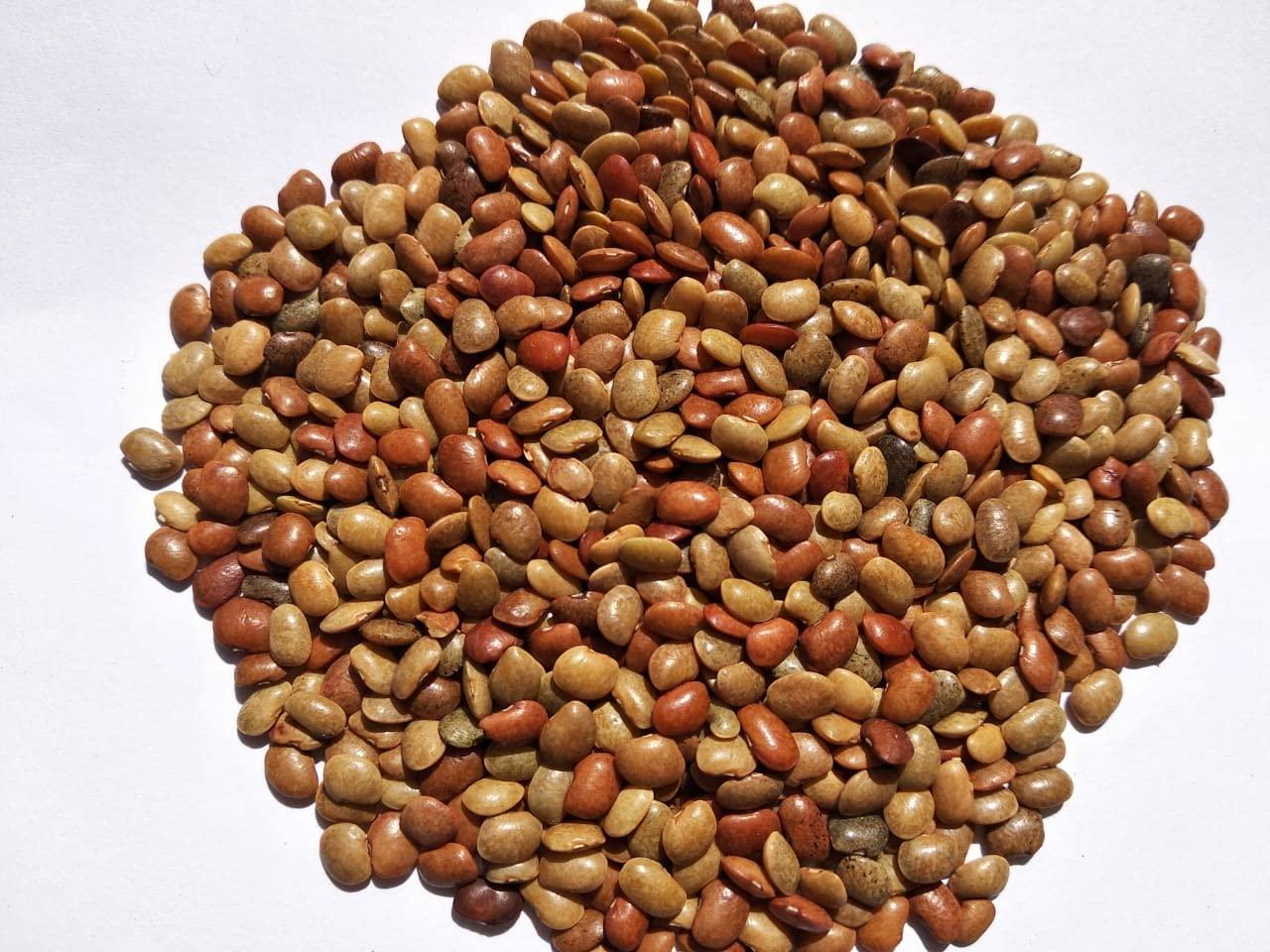 AJ ENTERPRISES SiriMart Brown Horse Gram, 950 g