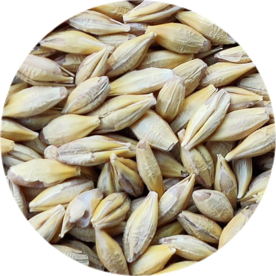 Kitchen Jungle Kitchen Jungle Seven Assorted Grains | 7 Dhan | Dhaan | sapt dhany for Pooja (  / 7 ) (10 Grams Each)