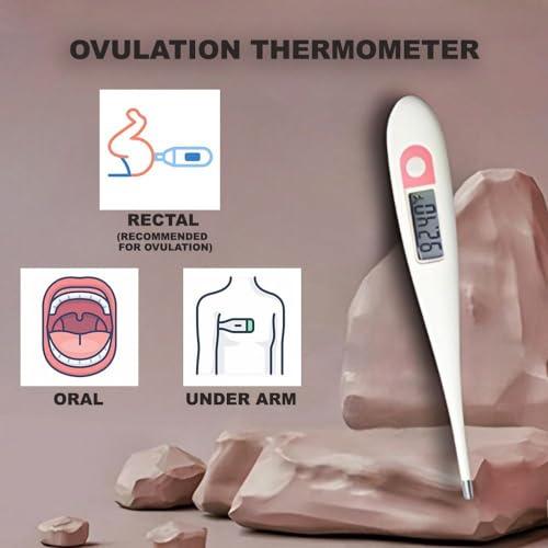 B-Arm B-Arm Basal Body Digital Ovulation Thermometer with 2 decimal places - Pregnancy Planning and Temperature Tracking | Get your Basal Body Temperature for Ovulation Tracking | ABS Plastic