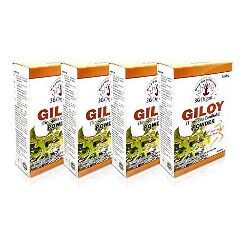 3GOrganic 3GOrganic Premium Quality Giloy Powder for Healthy Hair & Multipurpose 100 Grams (Pack of 4)