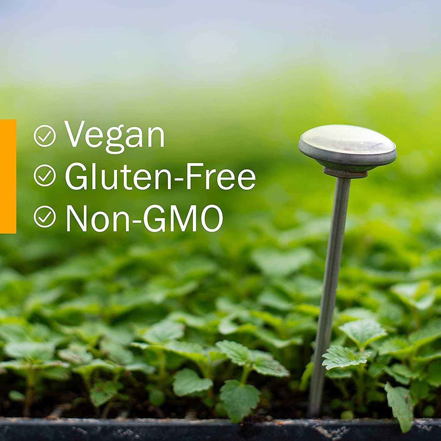 Herb Pharm Herb Pharm Uva Ursi Extract for Urinary System Support - 1 Ounce