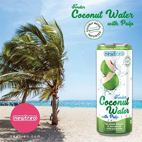 Newtreo Newtreo Tender Coconut Water with Pulp | 100% Coconut Water | No Added Sugar or Flavours | Not from Concentrate | Imported from Vietnam | 12 x 250ml cans