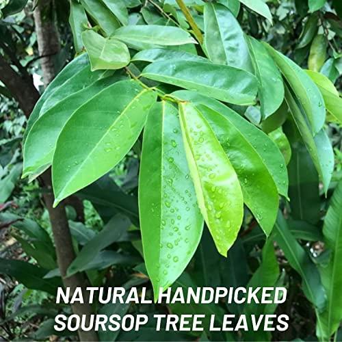 abamec Soursop Leaves, Graviola Soursop Dried Natural Leaves, 100% Natural and Handpicked Freshly Dried Soursop (Guanabana) Leaves (100 Leaves)