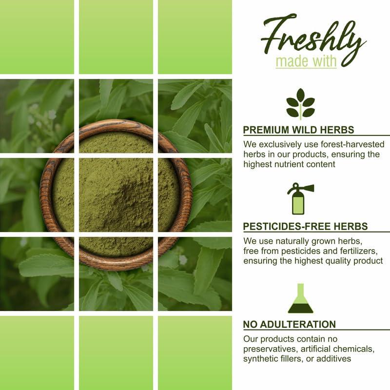 HerbalSpirit Herbal Spirit Organic Stevia Leaves Powder, 100gm | Stevia Leaf Powder | Organic Stevia Powder | Stevia Leaves Powder Organic | Pure Stevia Powder | Green Stevia Leaves Powder | Stevia Leaves Dry |