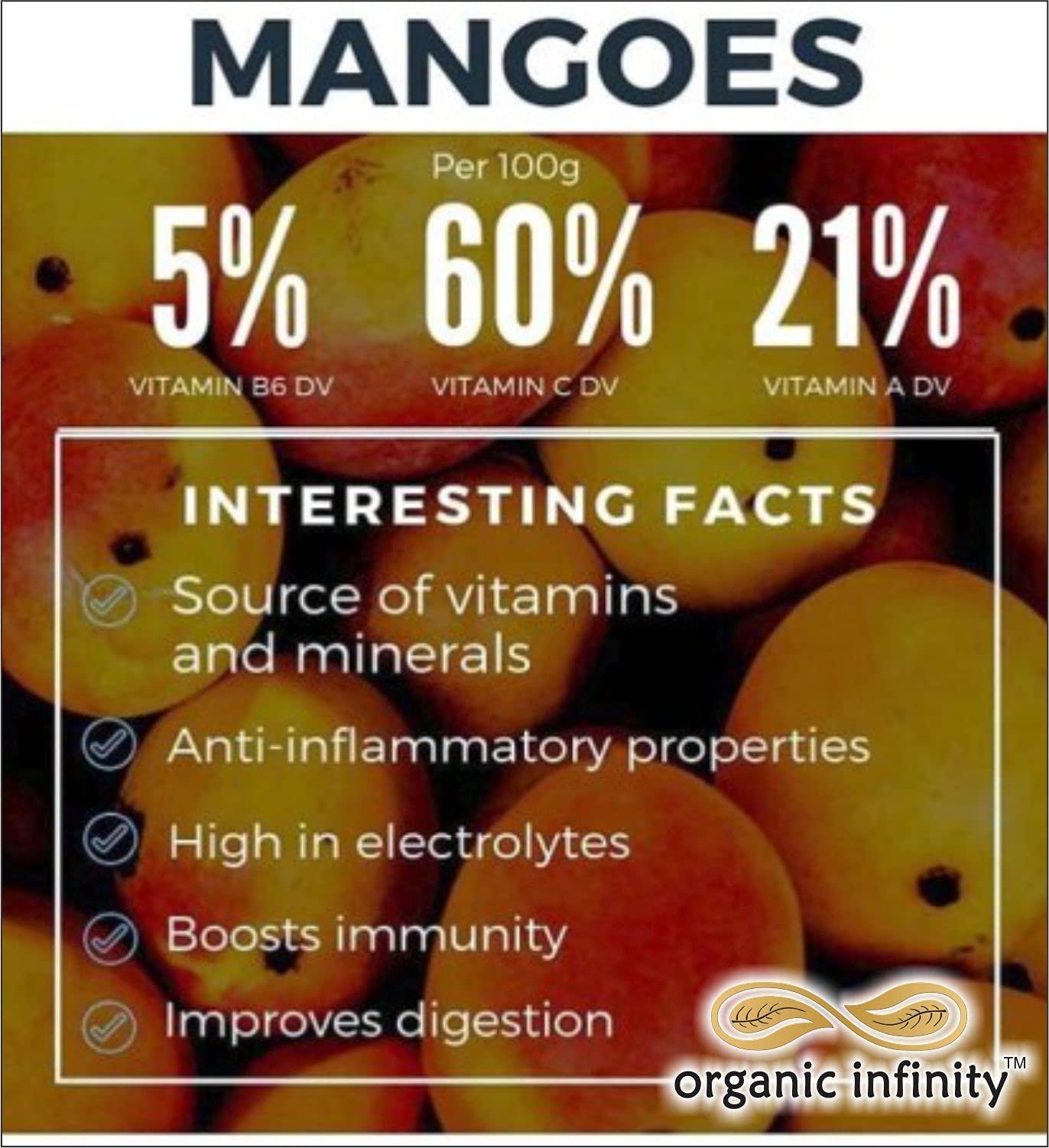 organic infinity Organic Infinity Amchur Powder | Dry Mango Powder | Aam Powder - 500 GM X 2 = 1 KG by Organic Infinity