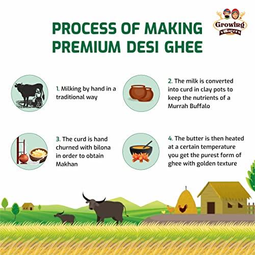Growing Villagers Growing Villagers A2 Desi Buffalo Ghee 1 Litre | Organic Curd Churned Desi Ghee | Murrah Buffalo Bilona Method Ghee | Homemade Shudh Desi Bhes Ka Ghee - 2 Jars Of 500 ml Each