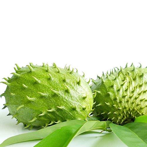 AMELIA ORGANIC PRODUCTS Amelia Organic Products Soursop Fruit Juice | Pulp 250ml | Pack of 3