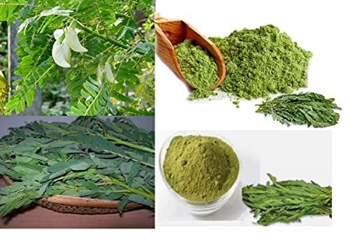 VAHISSH LIFE INC 500gm Pure Organic sesbania grandiflora vegetable hummingbird - dried leaf powder agaththi keerai podi, agasthya aathi keerai, agastiya, baka, agathiyo, avishi agache dried powdered