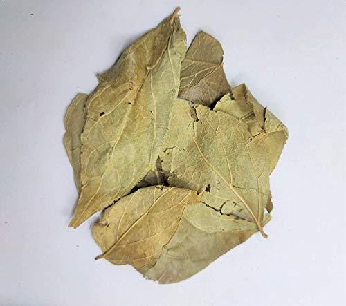 Generic Parijatak Pan Powder-Harsingar Patti Powder-Paarijaat Leaf Powder-Parijatak Leaves Powder-Harshingar Patta-Nyctanthes Arbor-Tristis (100 Gms)