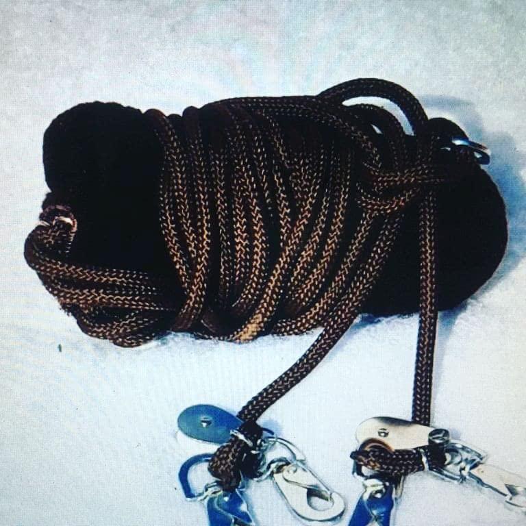 AMARYLLIS AMARYLLIS Corainder/Dhaniya Powder(Hand-Pounded), Natually Processed & 100% Organic with Zero Added Flavours & Colors(Chemical Free) | Rajasthan Special |250 grams