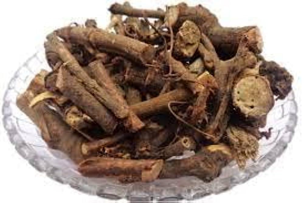 Nutrixia Food Dantimool-Danti Mool-Danti-Hakum-Wild Castor-Red Physic Nut Dried Herb-Baliospermum montanum (500 Gms)