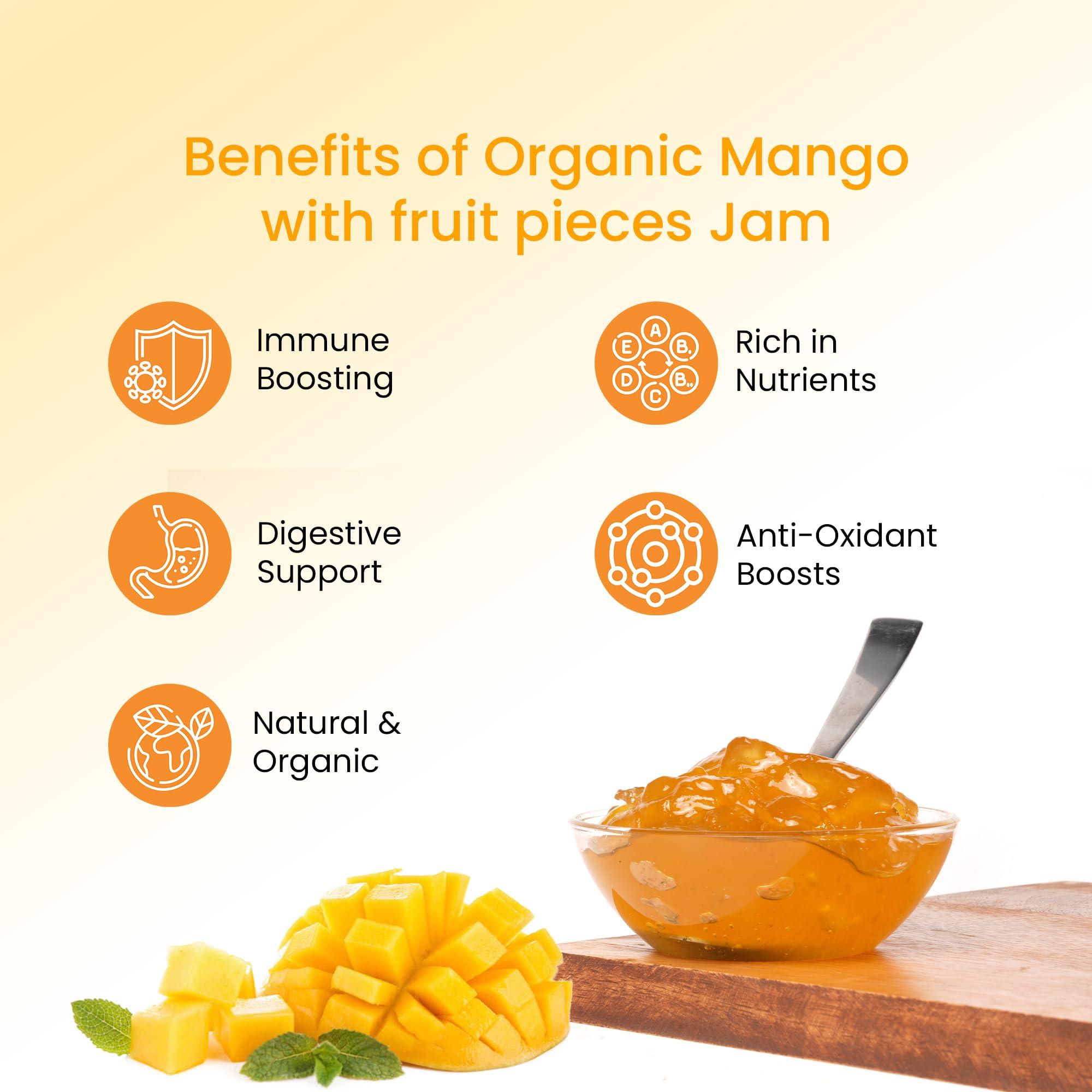 Himsrot Himsrot Organic Mango Fruit Jam with Fruit Pieces | Organic Mango Jam with Mango Fruit Pieces For Breakfast | No Added Preservatives & Colors - 250gm