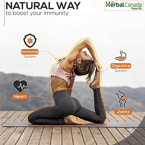 HARC Herbal Canada Harc Herbal Canada Haldi (100 Tablets) + Giloy Ghan Vati (100 Tablets) || Healthy Combo Pack