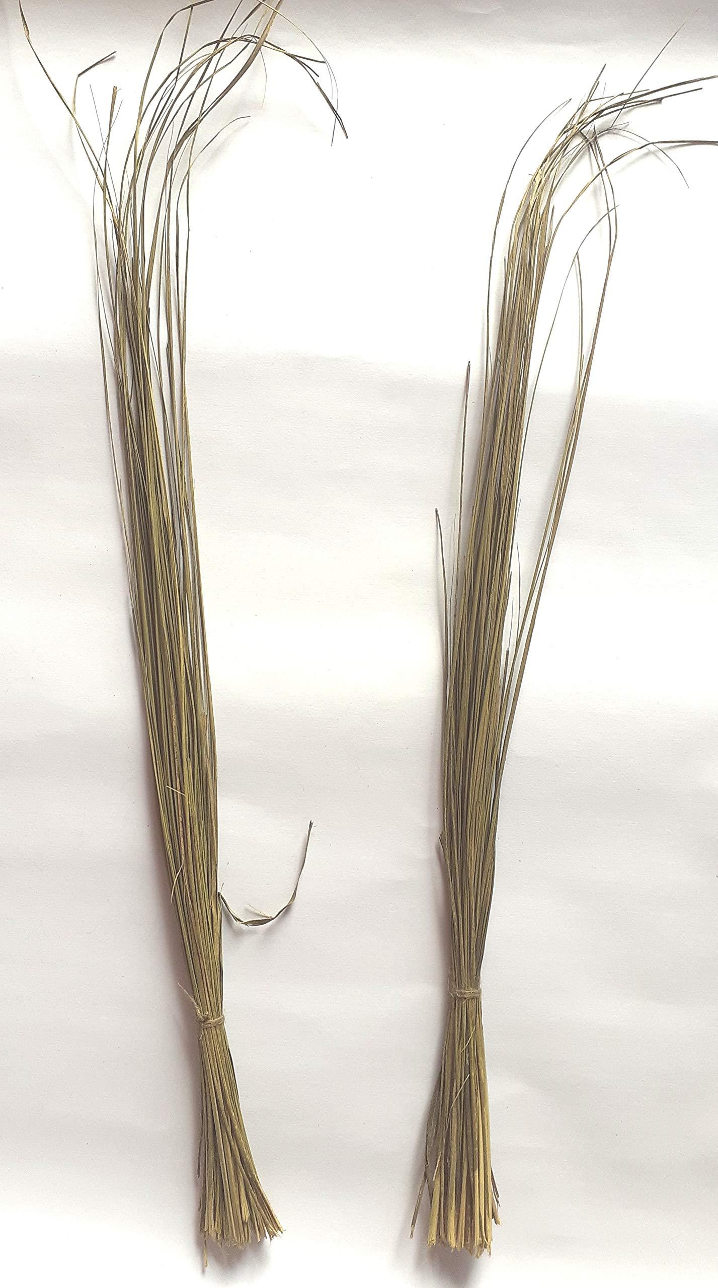 CHEZEL CHEZEL® Darbha Grass or Kusha Grass Dharbha Grass Halfa Grass 11 Bundle for Pooja