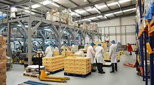 Fruitri Fruitri Premium Kashmiri Walnut Without Shell, Akhrot Giri,raw,400grams